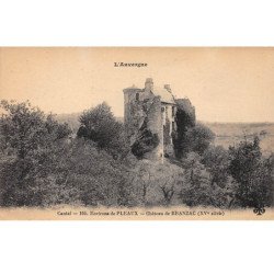 Environs de PLEAUX - Château de BRANZAC - très bon état