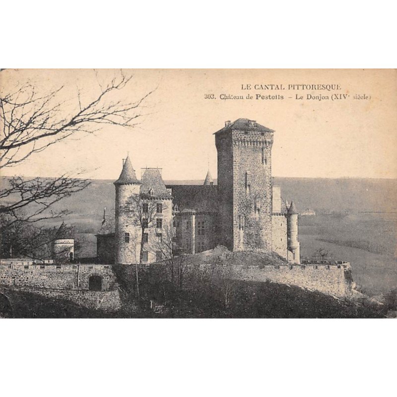 Ruines de l'ancien Château de BRANZAC près Loupiac - très bon état