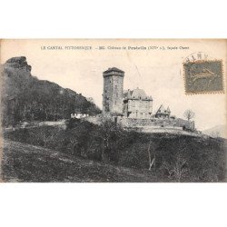 Château de PESTEILS - Façade Ouest - très bon état