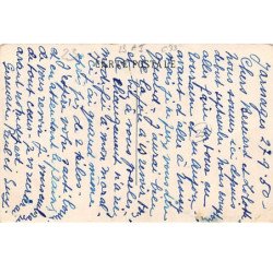 Château des Ternes près PIONNAT - très bon état