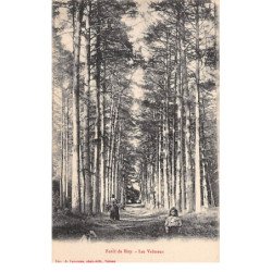 Forêt de Bizy - Les Valmeux - très bon état