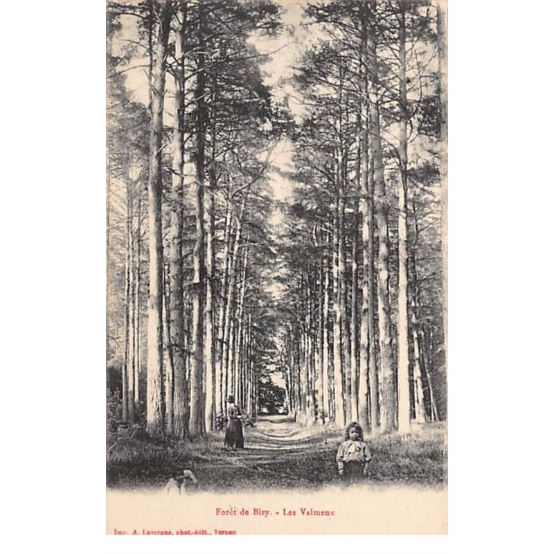 Forêt de Bizy - Les Valmeux - très bon état