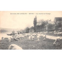 MUIDS - Aux Abords du Passage - très bon état