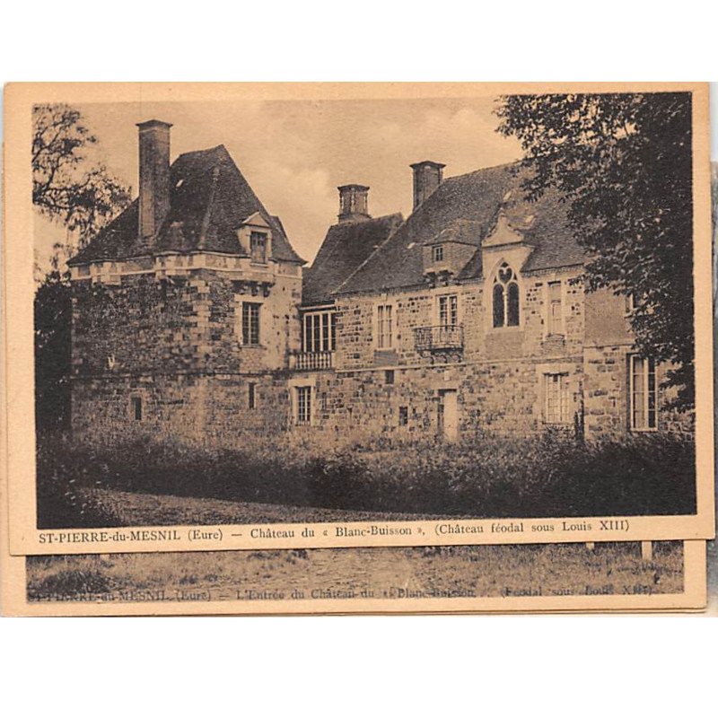 SAINT PIERRE DU MESNIL - Château du " Blanc Buisson " - très bon état