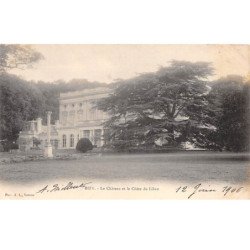 BIZY - Le Château et le Cèdre du Liban - très bon état