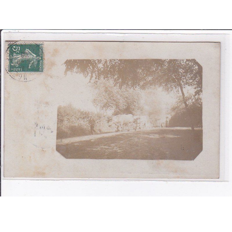 PALINGES : carte photo (cachet de départ) - très bon état