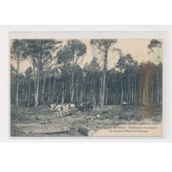 PLUVINIER - Exploitation forestières - Le travail en forêt de Floranges - Bois - état