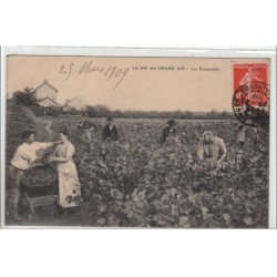 LA VIE AU GRAND AIR : les vendanges - très bon état