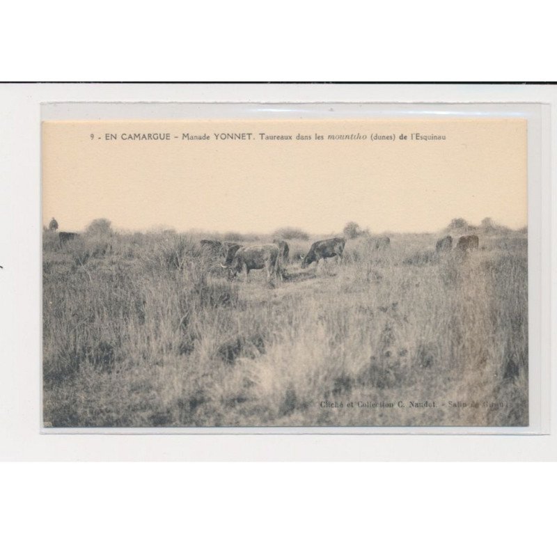 En Camargue - manade Yonnet - taureaux dans le mountiho de l'Esquinau - très bon état