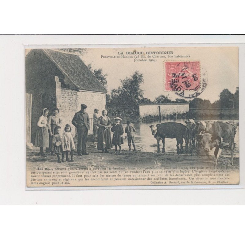 PRASVILLE LE HARENC - Mares - Bestiaux - Octobre 1904 - très bon état