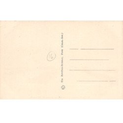 AIGRE - Une vue du Jardin de Mr Caille - très bon état