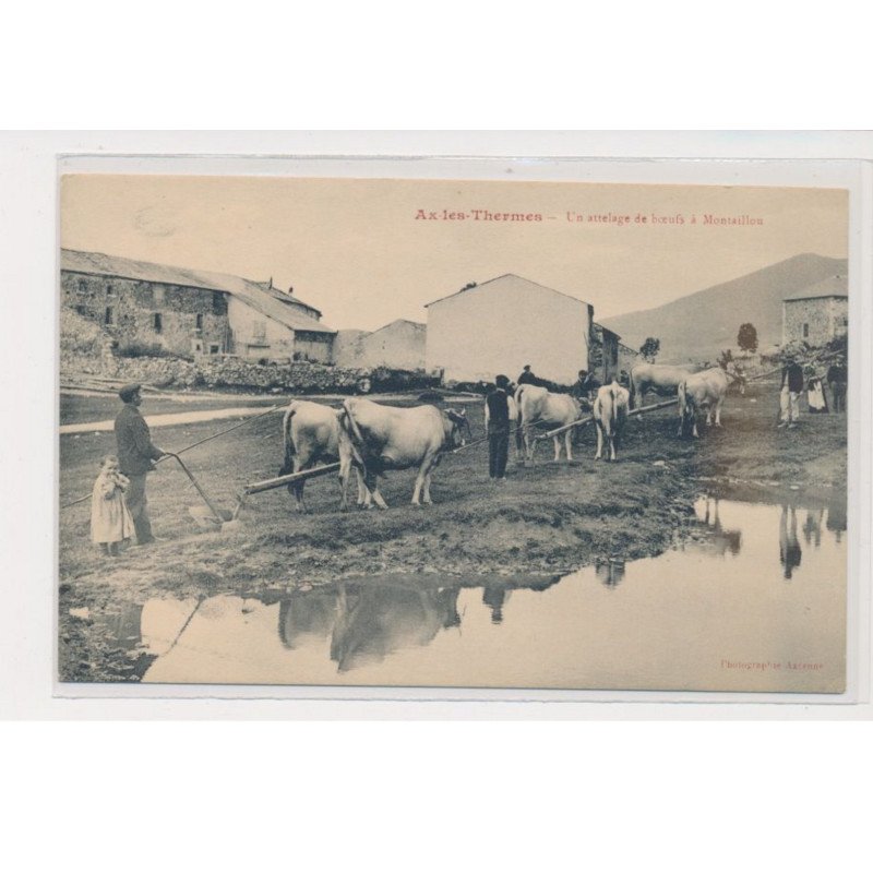 AX LES THERMES - Un attelage boeufs à Montaillou - très bon état