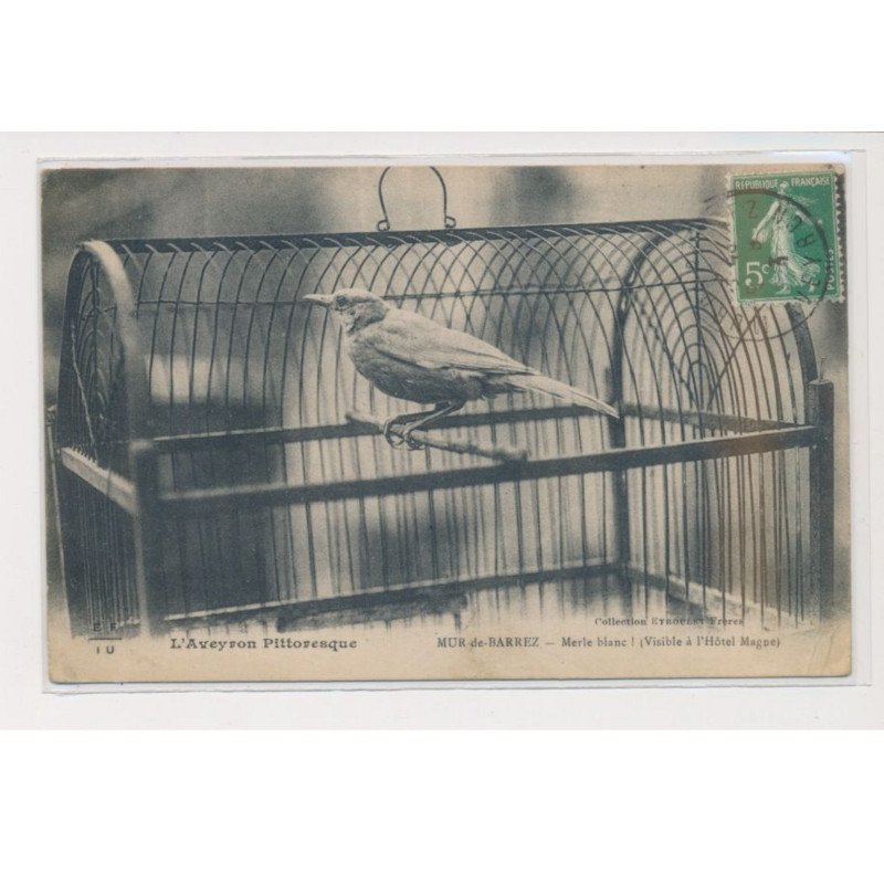 MUR DE BARREZ - Merle Blanc (visible à l'hôtel Magne) - état