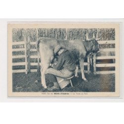 Sur les monts d'Aubrac - La traite au parc - très bon état
