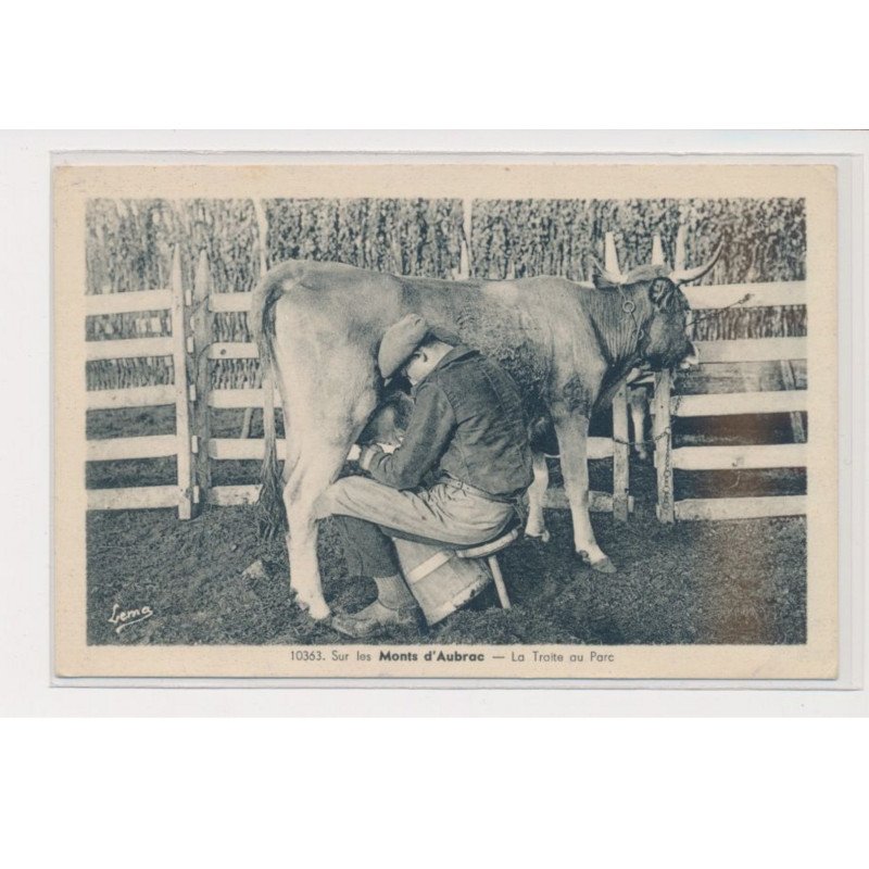 Sur les monts d'Aubrac - La traite au parc - très bon état