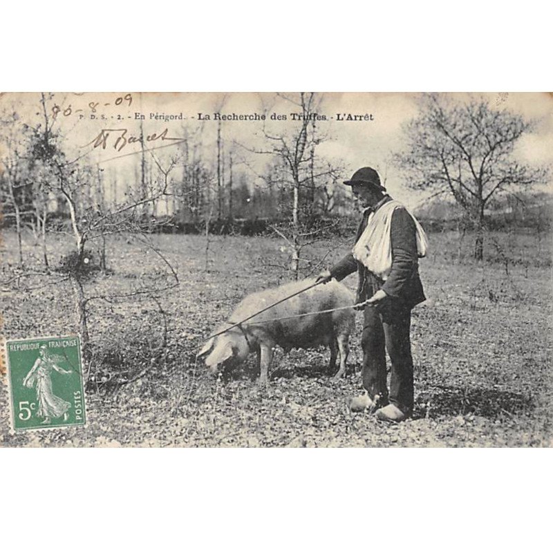 En Périgord - La Recherche des Truffes - L'Arrêt - très bon état