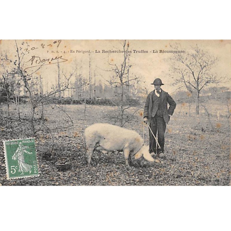 En Périgord - La Recherche des Truffes - La Récompense - très bon état
