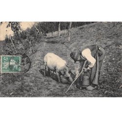 PERIGUEUX - Chercheurs de Truffes - très bon état