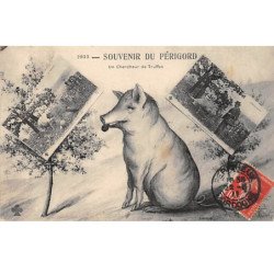 Souvenir du Périgord - Un Chercheur de Truffes - très bon état