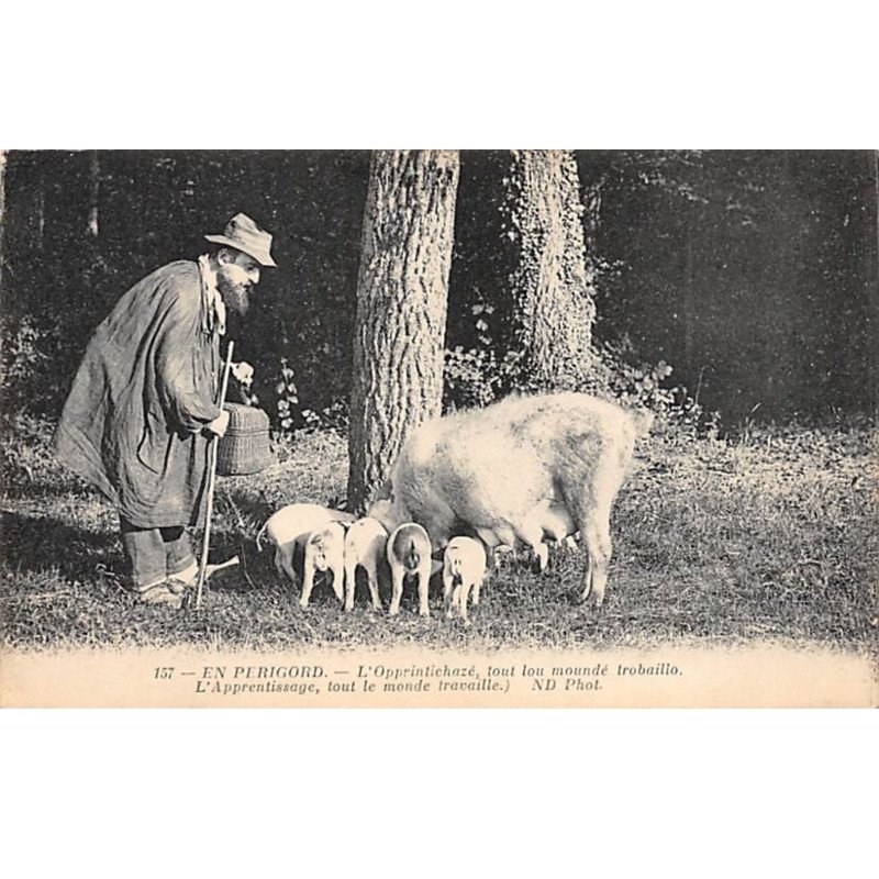 EN PERIGORD - L'Opprintichazé - très bon état