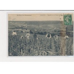 GRAUVES - Vignobles de la maison Perchat - au pays du Champagne - très bon état