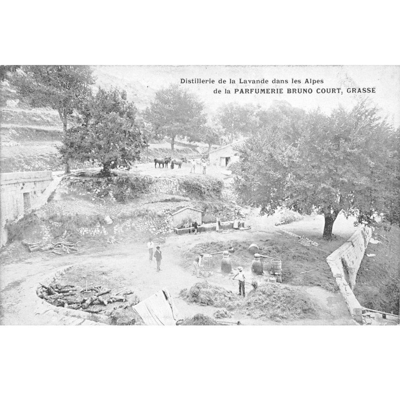 GRASSE - Distillerie de la Lavande dans les Alpes de la Parfumerie BRUNO COURT - très bon état