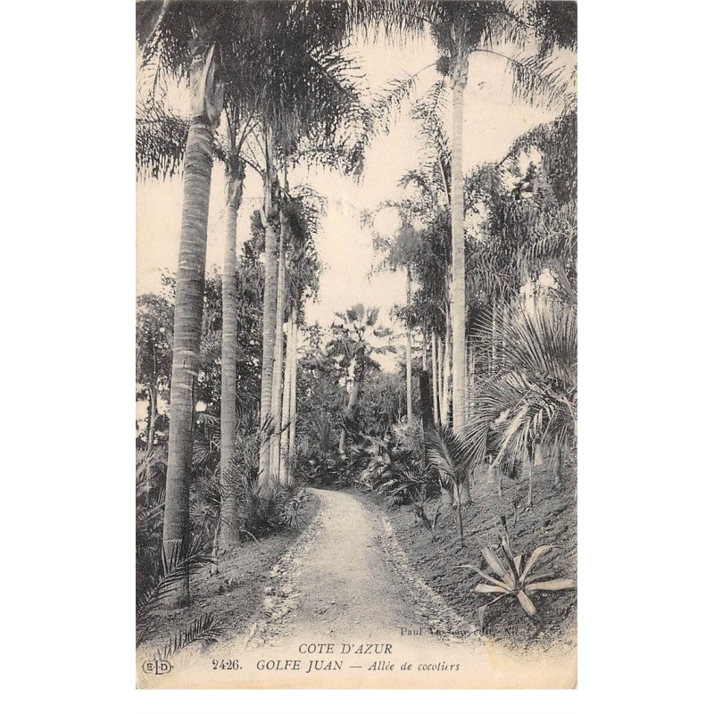 GOLFE JUAN - Allée de Cocotiers - très bon état
