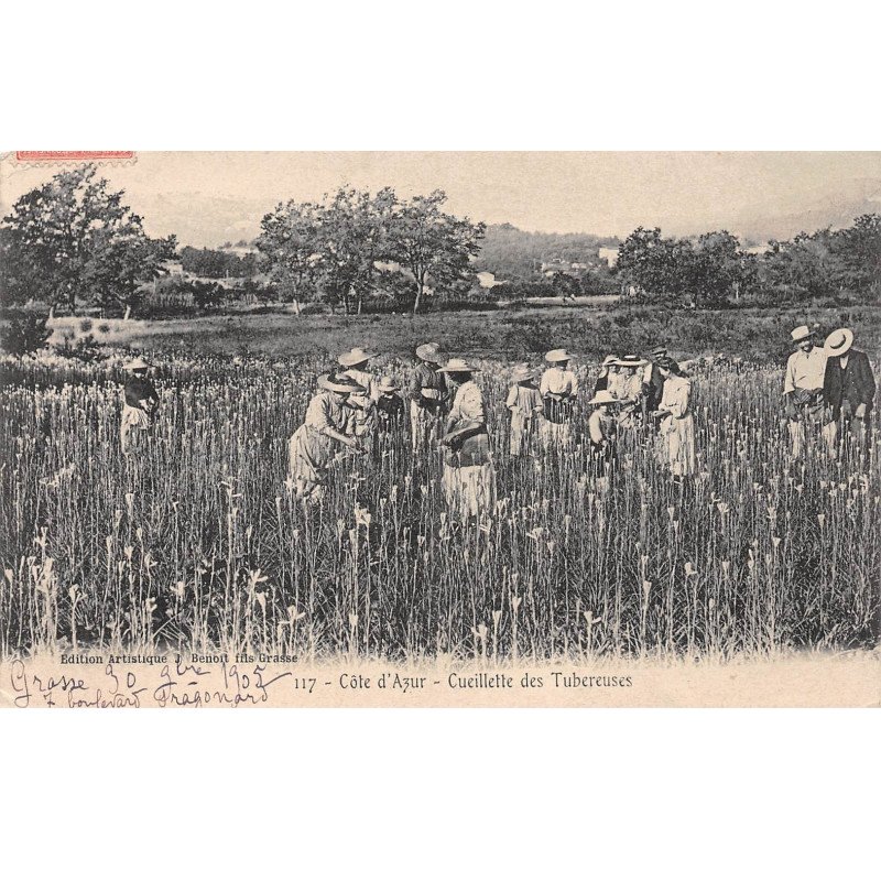 Côte d'Azur - Cueillette des Tubereuses - très bon état