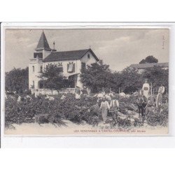 Les vendanges à CASTEL COURTADE près BEZIERS - très bon état