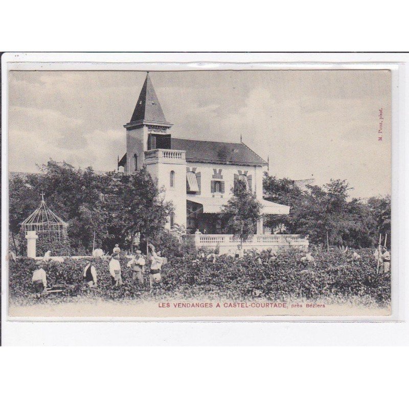 Les vendanges à CASTEL COURTADE près BEZIERS - très bon état