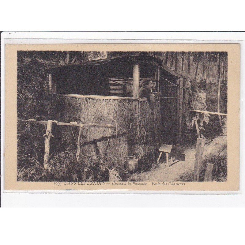 Dans les LANDES : chasse à la palombe - poste des chasseurs - état
