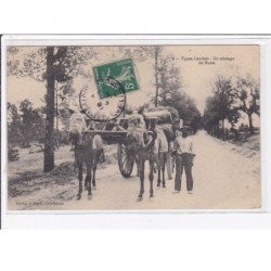 TYPES LANDAIS : un attelage de mules - très bon état