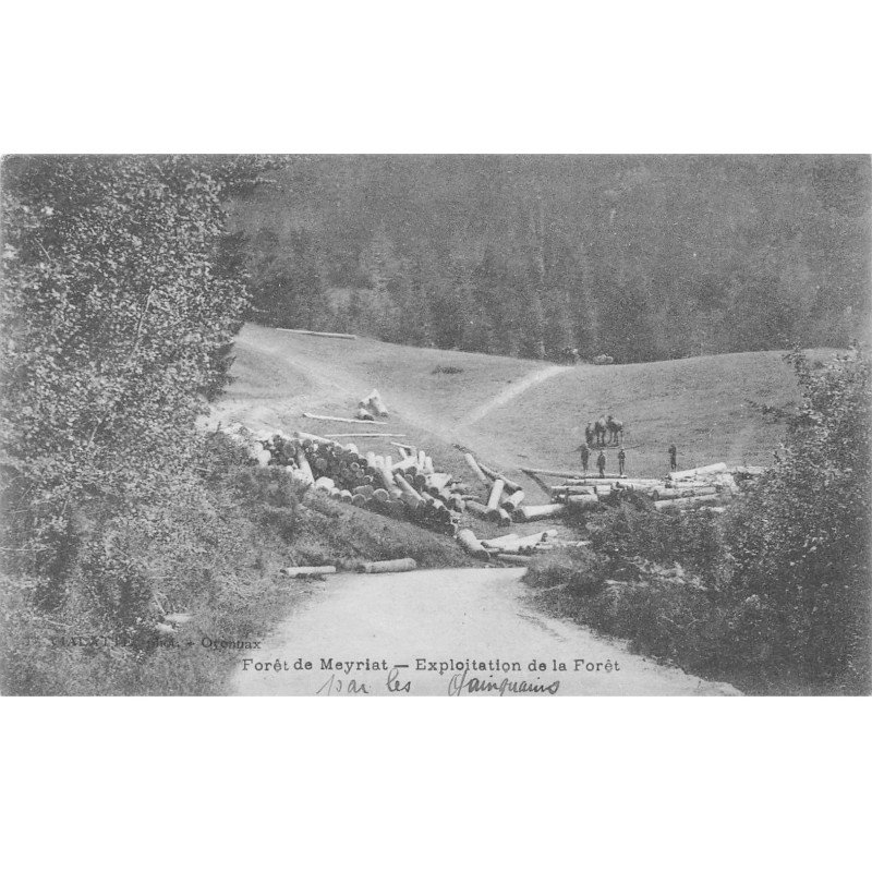 Forêt de Meyriat - Exploitation de la Forêt - très bon état