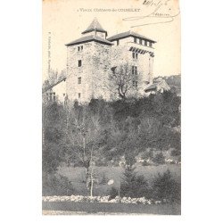 Vieux Château de COISELET - très bon état