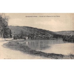 JAULGONNE - Bords de la Marne au loin Barzy - très bon état