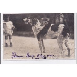 St-CYPRIEN : carte photo chenil du domaine des capeillans dressage chiens domaine des capeillans - très bon état