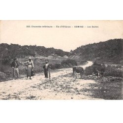 ILE D'OLERON - DOMINO - Les Dunes - très bon état