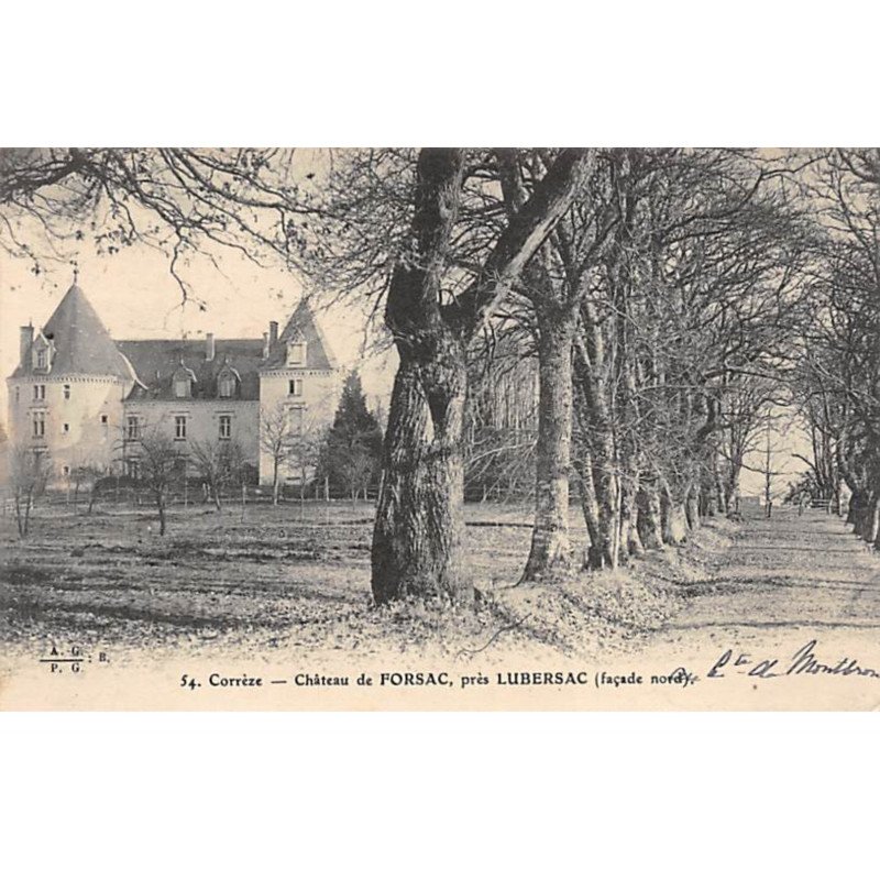 Château de FORSAC près Lubersac - très bon état
