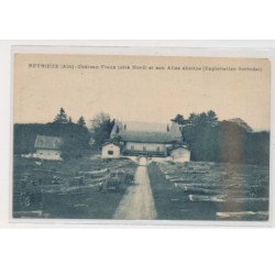 REYRIEUX : Château-Vieux (côté Nord) et son Allée abattue (Exploitation Serindat) (bois-bûcherons) - état