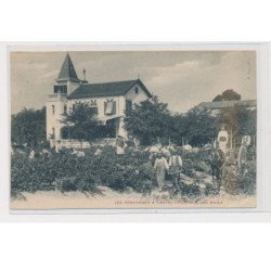 BEZIERS - Les vendanges à Castel-Courtade - état