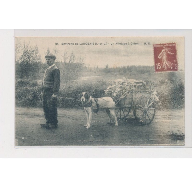 LANGEAIS - Un attelage à chiens - très bon état