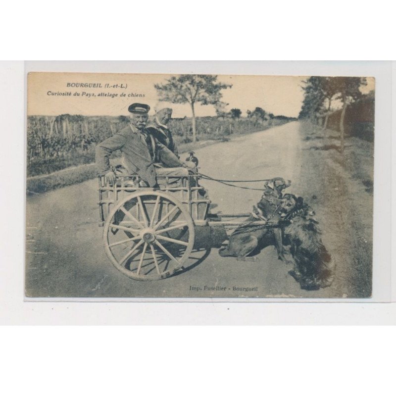 BOURGUEIL - Curiosités du pays, attelage de chiens - très bon état