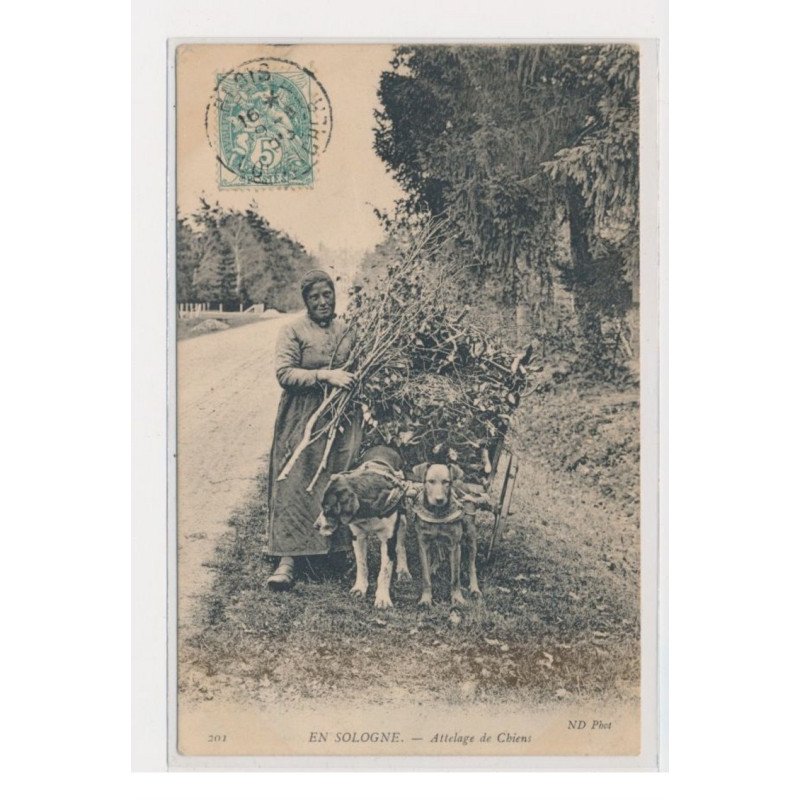 En Sologne - Attelage de chiens (voiture à chien) - très bon état