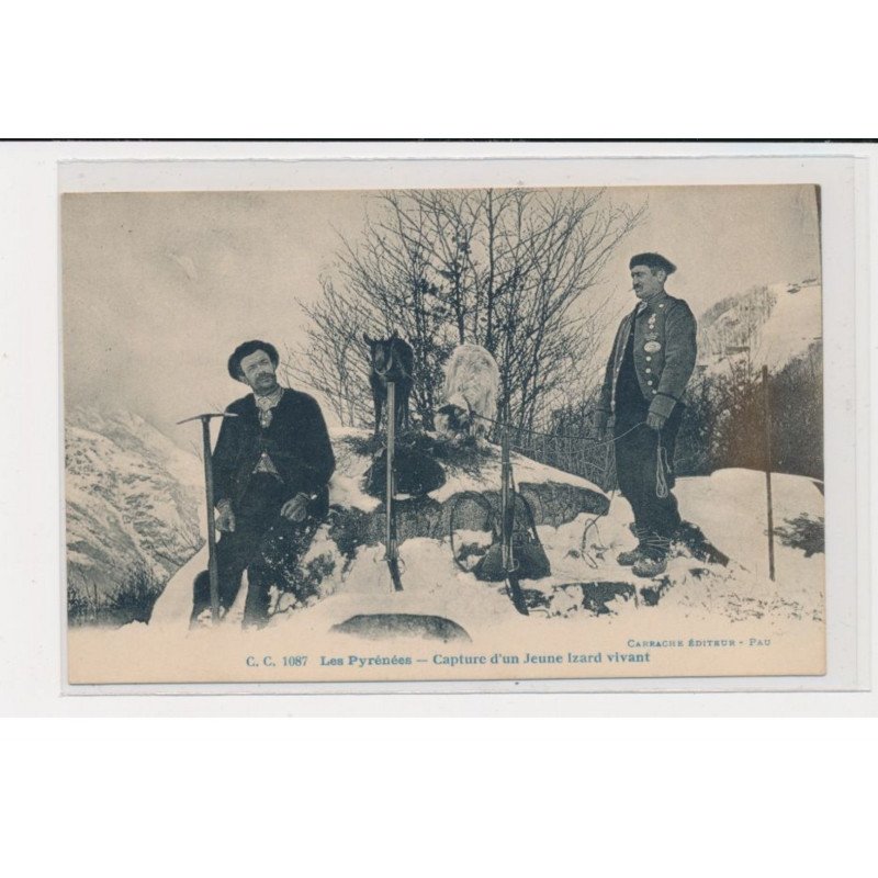 Hautes Pyrénées - Capture d'un jeune izard vivant - très bon état Hautes Pyrénées - Capture d'un jeune izard vivant - très bon état
