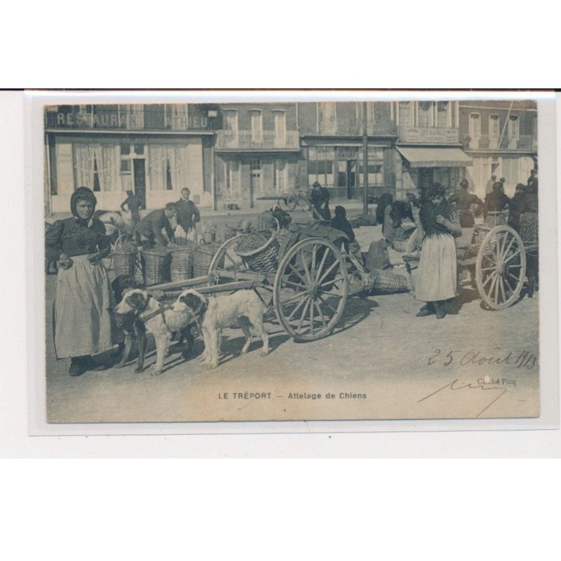 LE TREPORT - Attelage de chiens - état