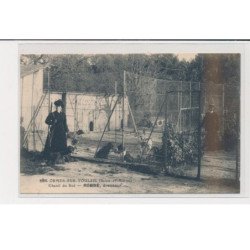 LES ORMES SUR VOULZIE - Chenil du Své - Robbé, dresseur - très bon état