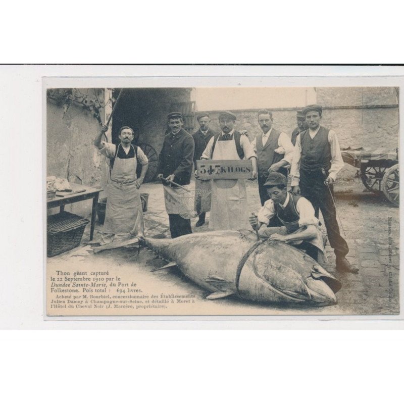 Thon géant capturé par le Dundee Ste marie, du port de Folkestone - 1910 - état