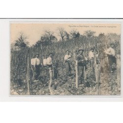 Vignobles au Pays Basque - la lutte contre les cryptogames - très bon état