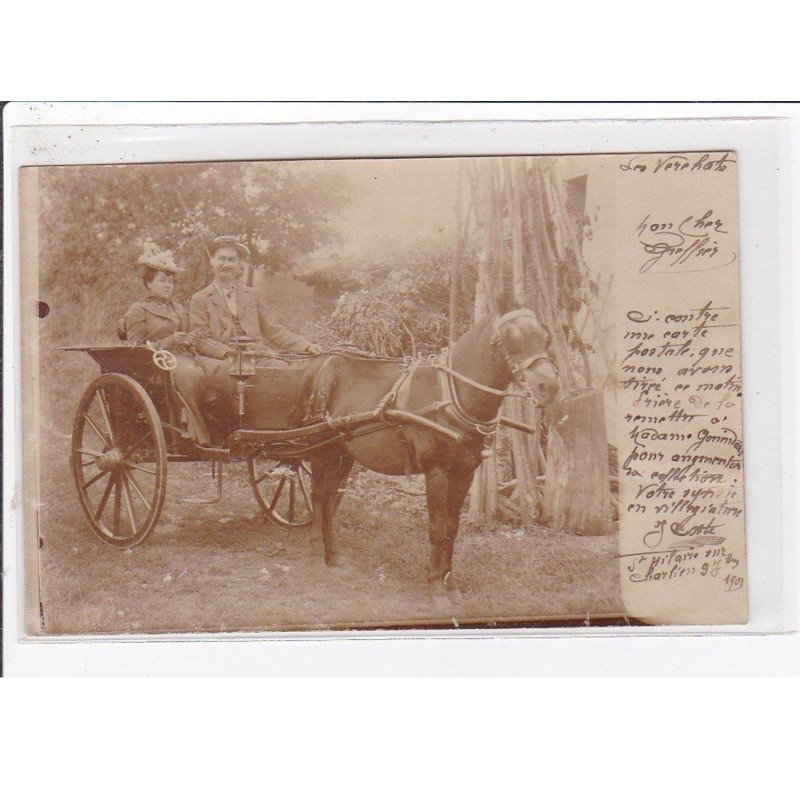 SAINT HILAIRE SOUS CHARLIEU (Les Verchats ?) : carte photo d'un attelage - très bon état