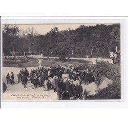 VERSAILLES : chute de l'aviateur Stoeffler et son passager dans le parc (aviation) - très bon état